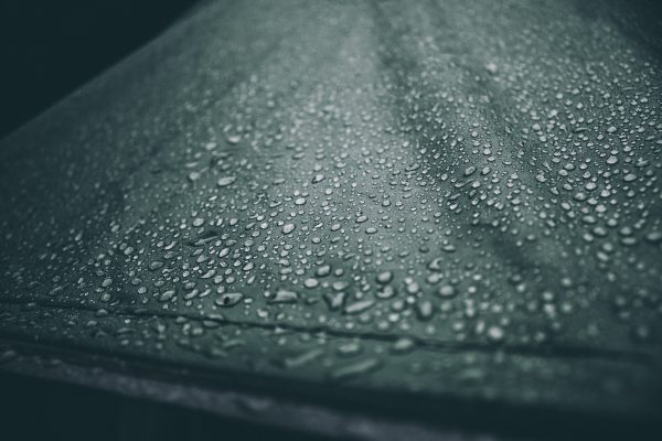 water dew closeup photography
